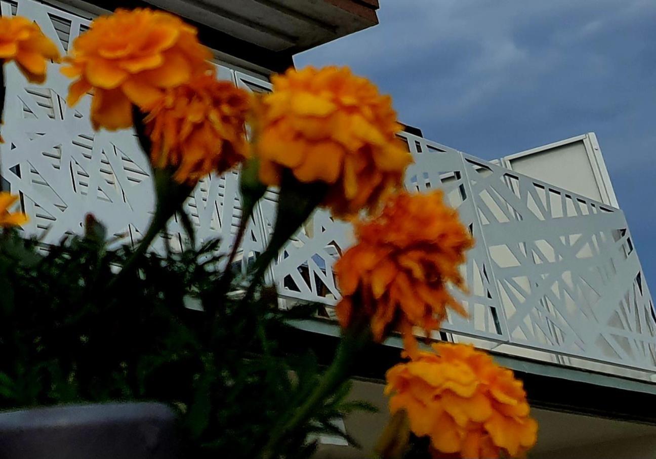 Villa Sunshine Baum Marina Exterior foto